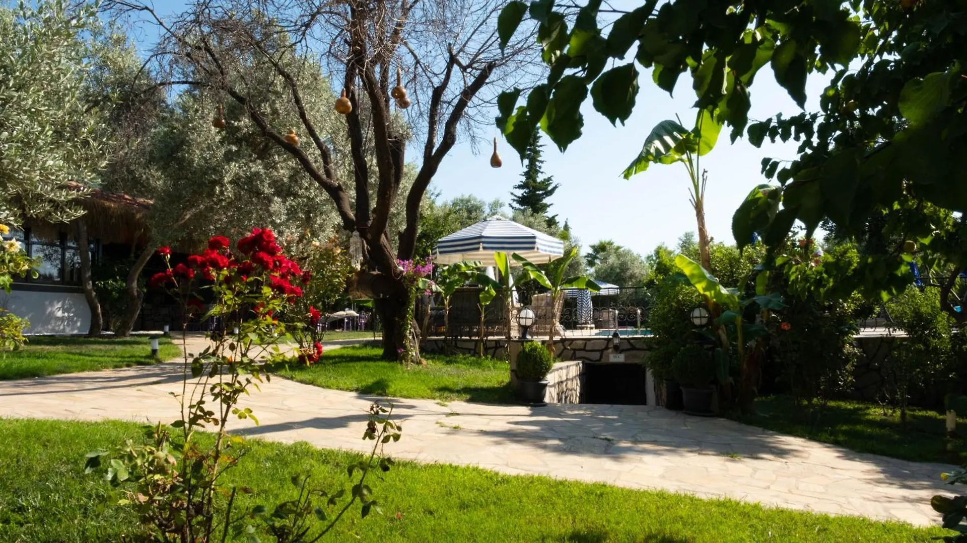 Kibele Hotel Ölüdeniz